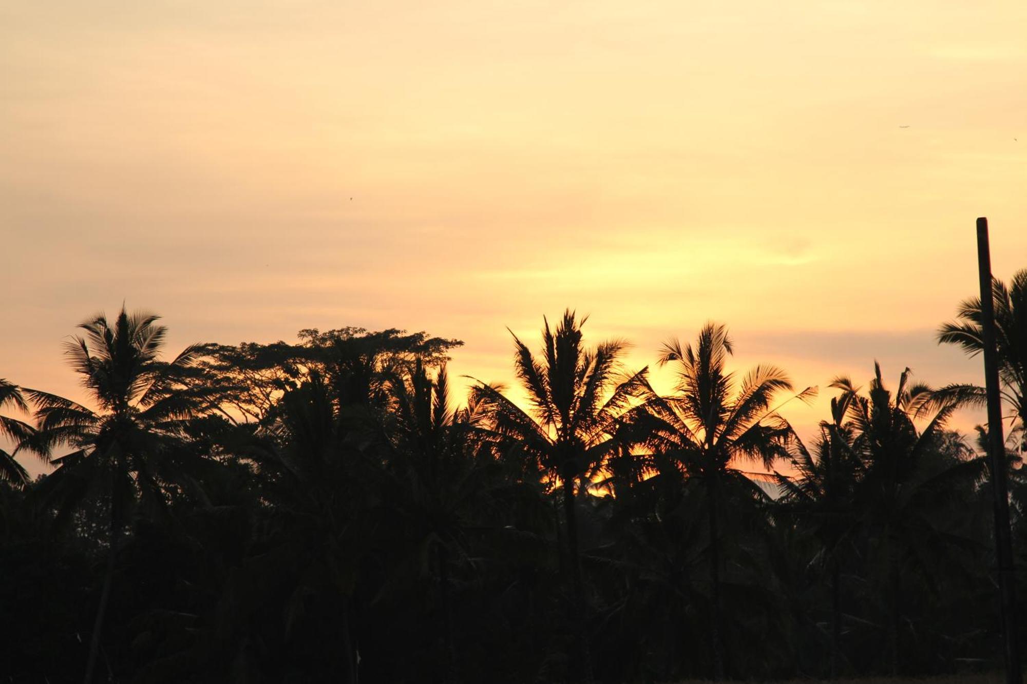 Ubud Kartini Hostel Екстер'єр фото