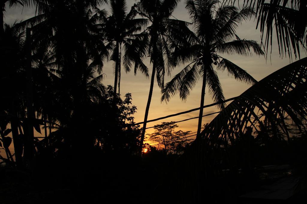 Ubud Kartini Hostel Екстер'єр фото